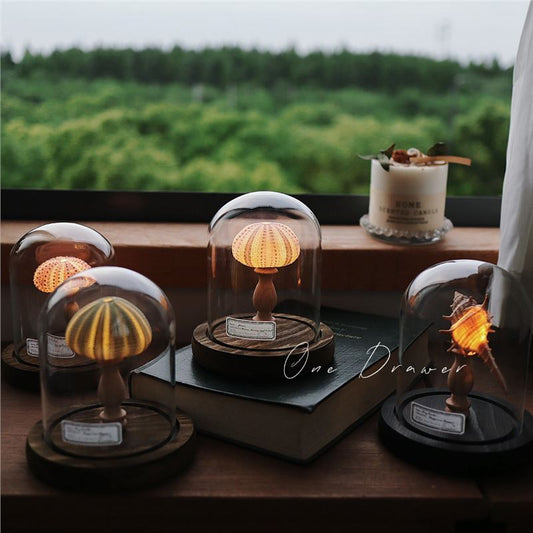 Small night lamp Ornaments Ocean Island Vintage shell