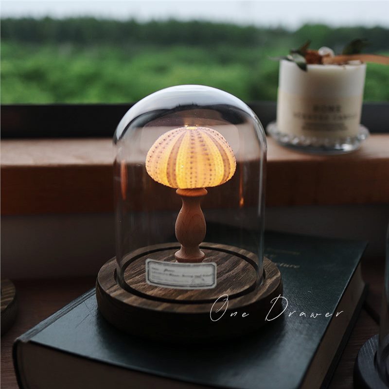 Small night lamp Ornaments Ocean Island Vintage shell