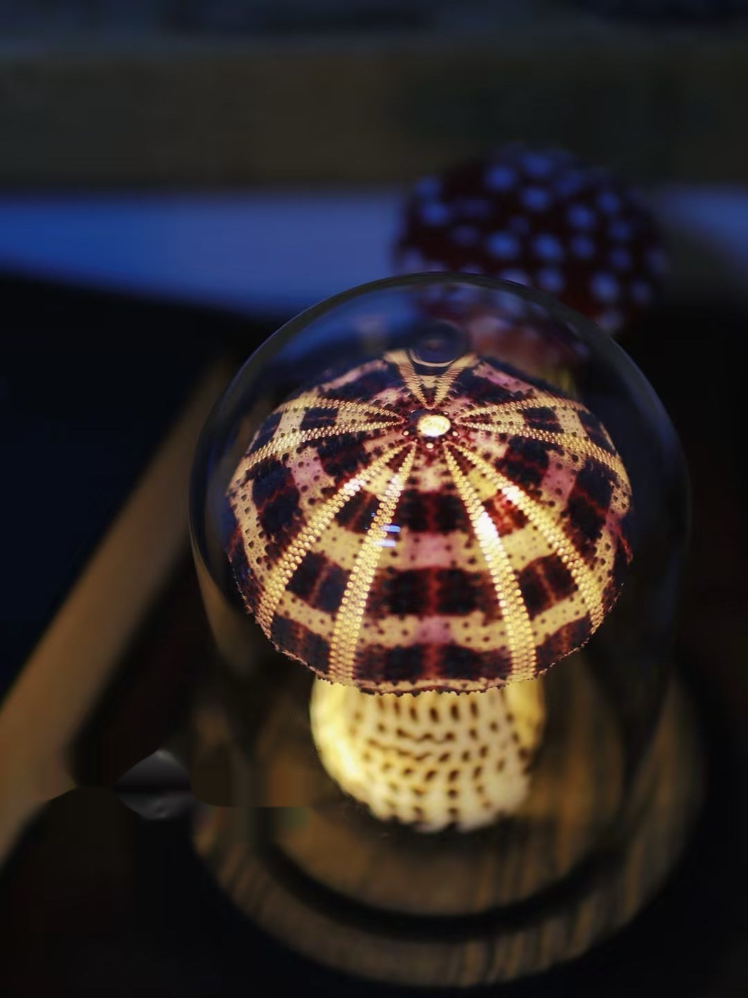 Mushroom Small Night Lamp Decoration