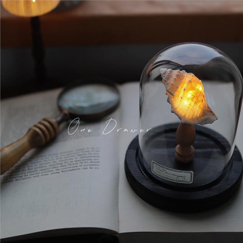 Small night lamp Ornaments Ocean Island Vintage shell