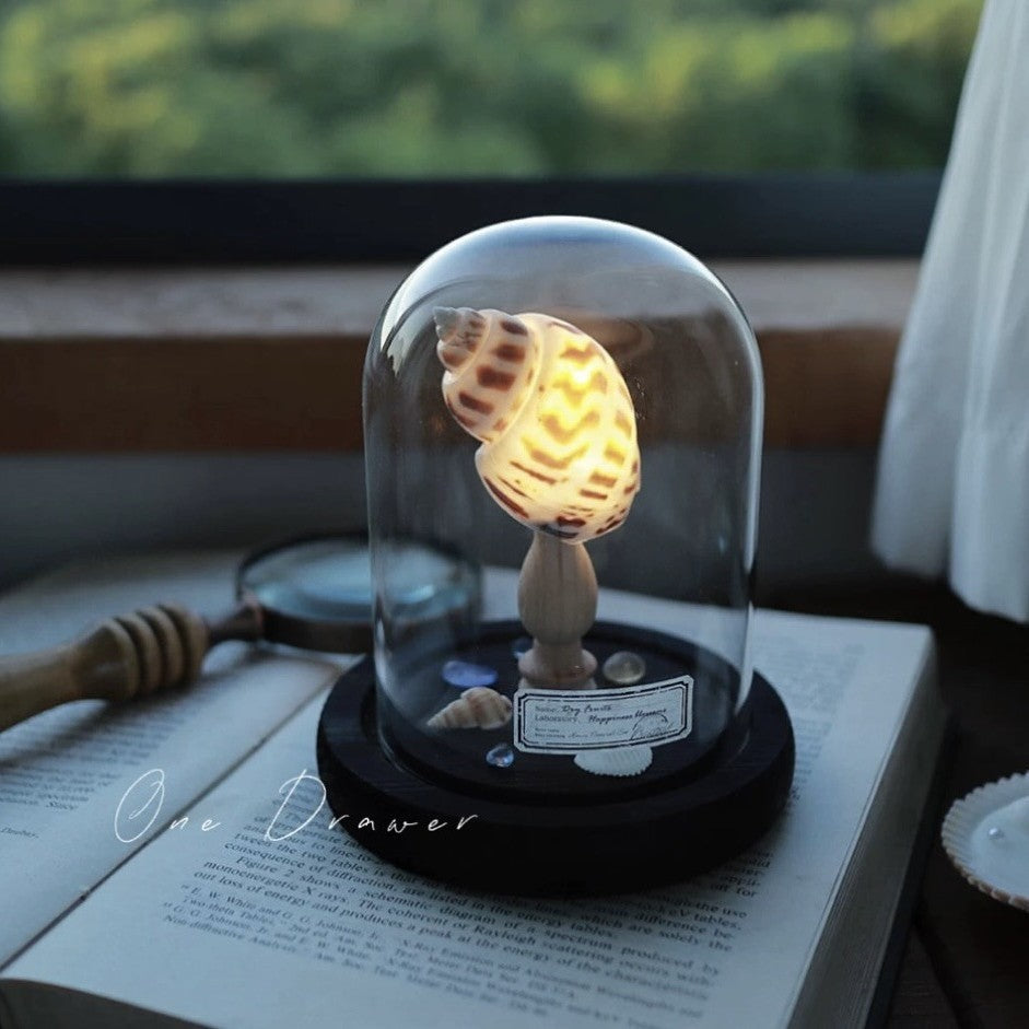 Small night lamp Ornaments Ocean Island Vintage shell