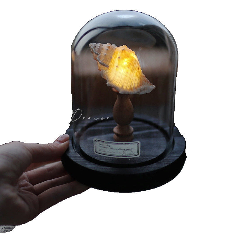 Small night lamp Ornaments Ocean Island Vintage shell