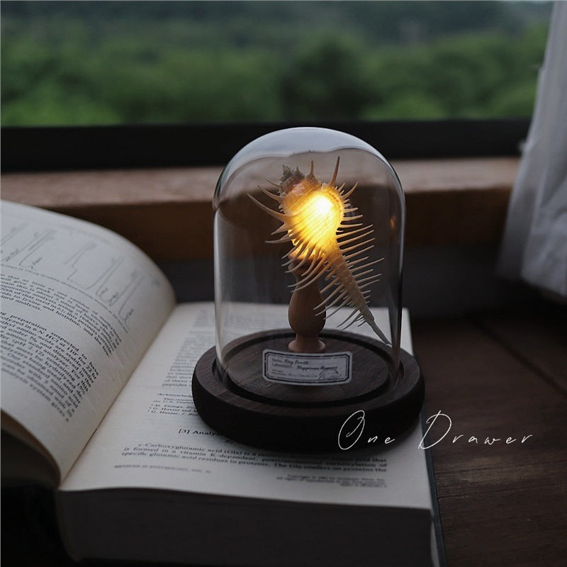Small night lamp Ornaments Ocean Island Vintage shell
