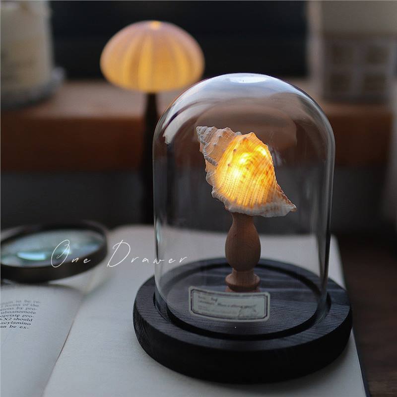 Small night lamp Ornaments Ocean Island Vintage shell