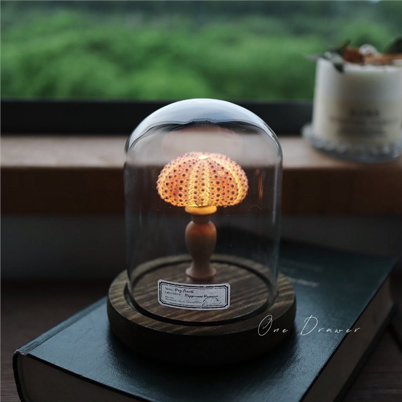 Small night lamp Ornaments Ocean Island Vintage shell