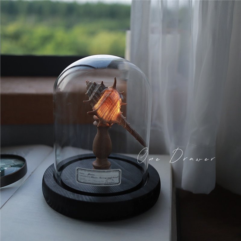 Small night lamp Ornaments Ocean Island Vintage shell