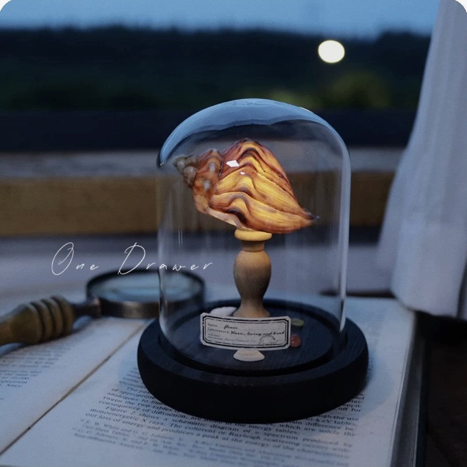 Small night lamp Ornaments Ocean Island Vintage shell